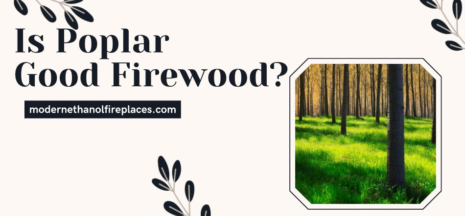 Is Poplar Good Firewood?