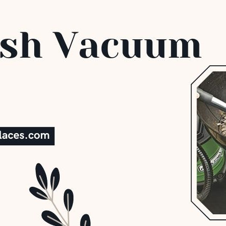  Best Ash Vacuum