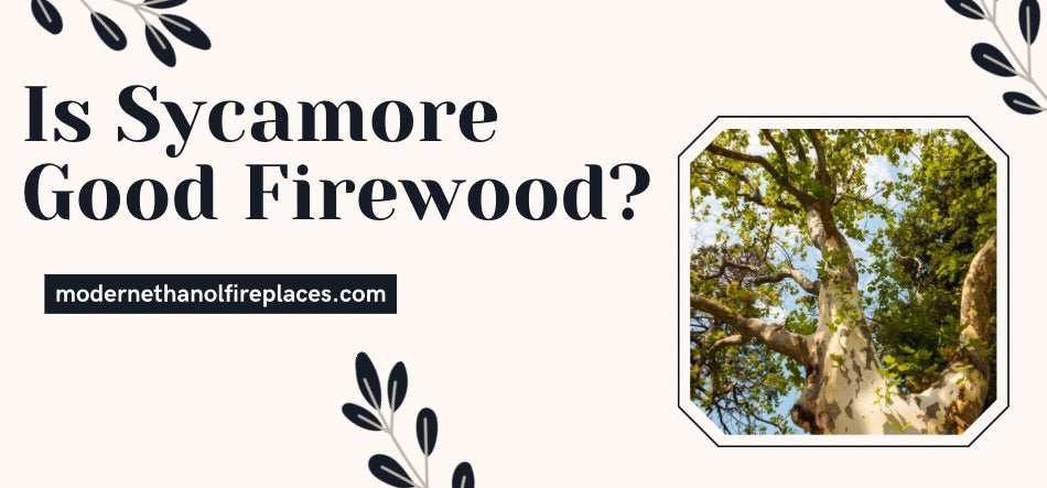 Is Sycamore Good Firewood? Discover the Benefits and Drawbacks