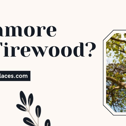  Is Sycamore Good Firewood?